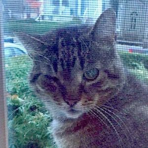 Meet your Posher, Bryan